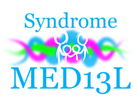 logo-med13l-200x157
